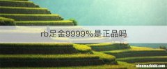 rb足金9999%是正品吗
