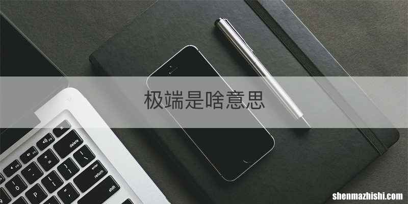 极端是啥意思