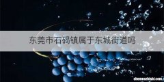 东莞市石碣镇属于东城街道吗