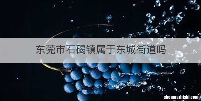 东莞市石碣镇属于东城街道吗