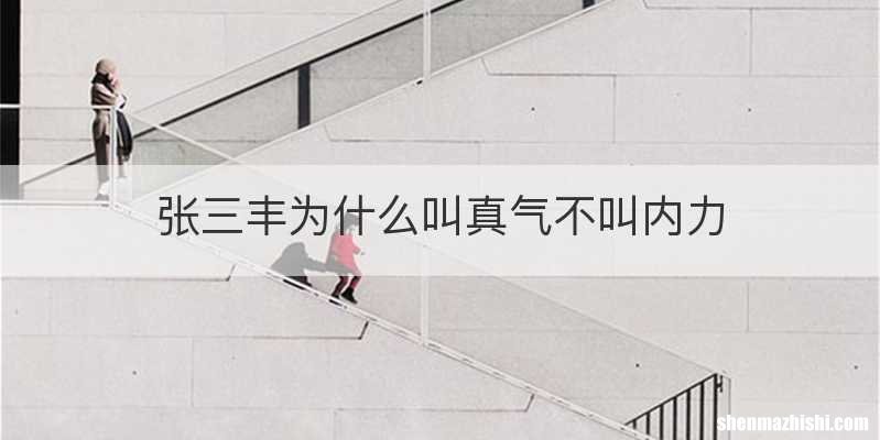 张三丰为什么叫真气不叫内力
