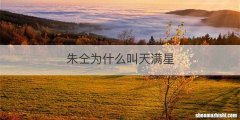 朱仝为什么叫天满星