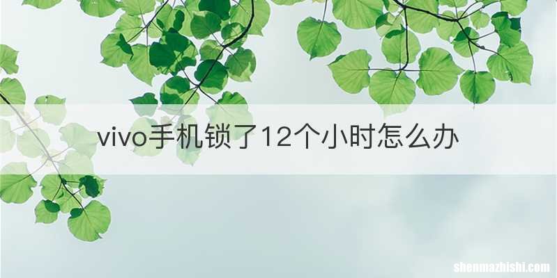 vivo手机锁了12个小时怎么办