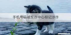 手机号码被反诈中心标记涉诈