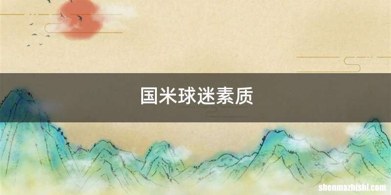 国米球迷素质