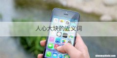 人心大块的近义词