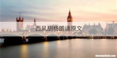 西风胡杨朗诵原文