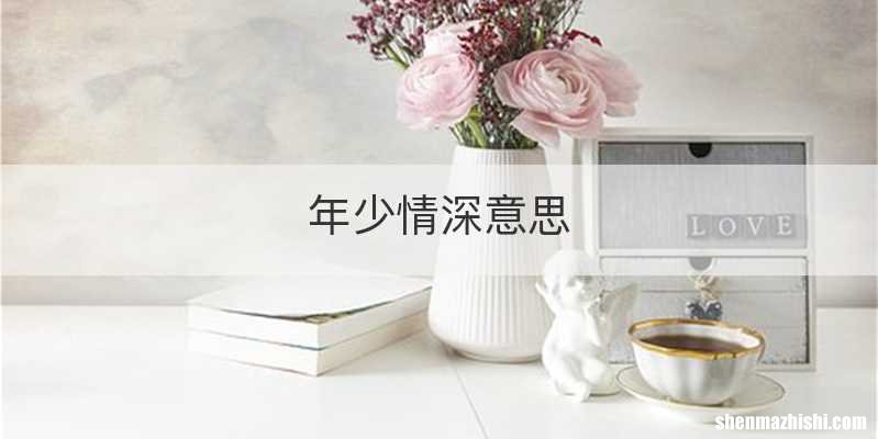 年少情深意思