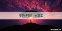 感情深刻什么意思
