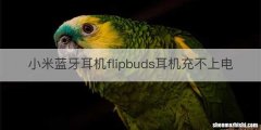 小米蓝牙耳机flipbuds耳机充不上电