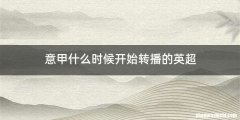 意甲什么时候开始转播的英超