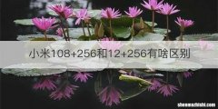 小米108+256和12+256有啥区别