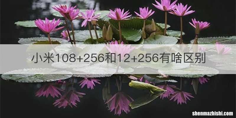 小米108+256和12+256有啥区别
