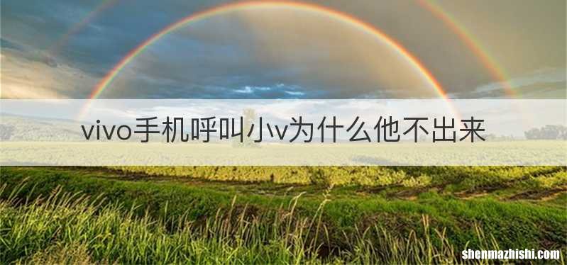 vivo手机呼叫小v为什么他不出来