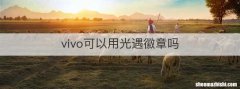 vivo可以用光遇徽章吗