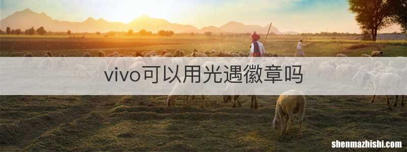 vivo可以用光遇徽章吗