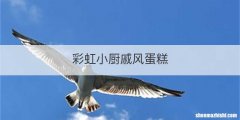 彩虹小厨戚风蛋糕