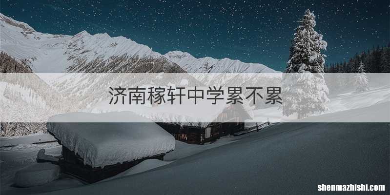济南稼轩中学累不累