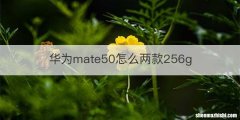 华为mate50怎么两款256g