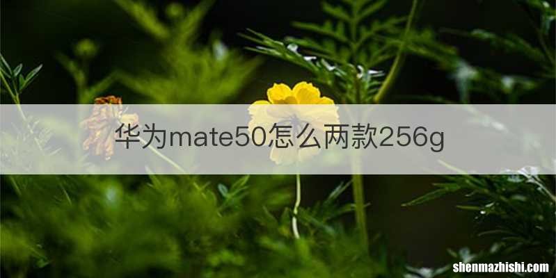 华为mate50怎么两款256g