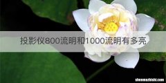 投影仪800流明和1000流明有多亮