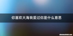 你喜欢大海我爱过你是什么意思