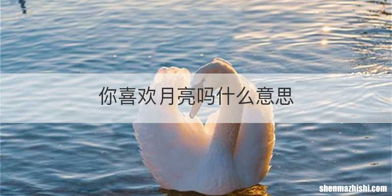 你喜欢月亮吗什么意思
