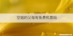 空姐的父母有免费机票吗