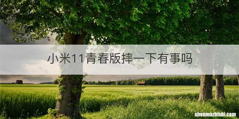 小米11青春版摔一下有事吗