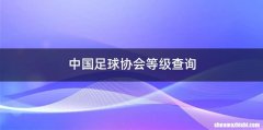 中国足球协会等级查询