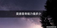 莫德里奇能力值多少