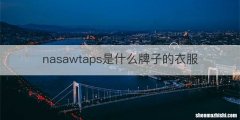 nasawtaps是什么牌子的衣服