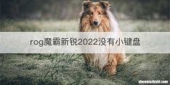rog魔霸新锐2022没有小键盘