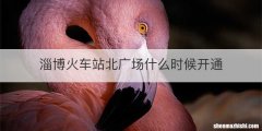 淄博火车站北广场什么时候开通