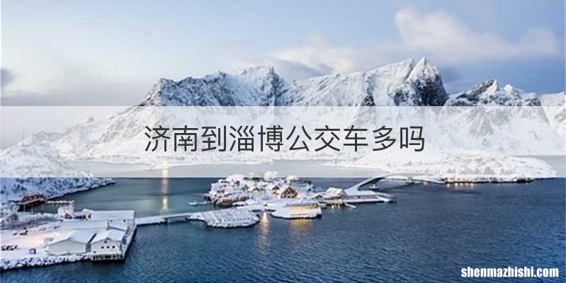济南到淄博公交车多吗