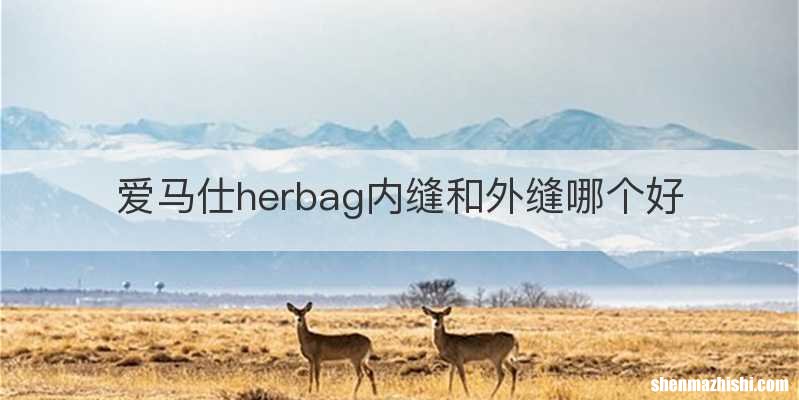 爱马仕herbag内缝和外缝哪个好