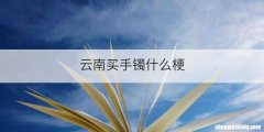 云南买手镯什么梗