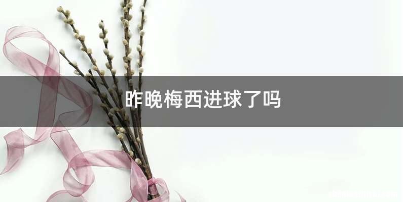 昨晚梅西进球了吗