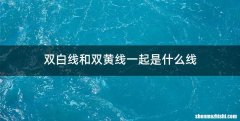 双白线和双黄线一起是什么线