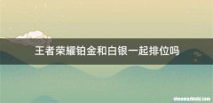 王者荣耀铂金和白银一起排位吗