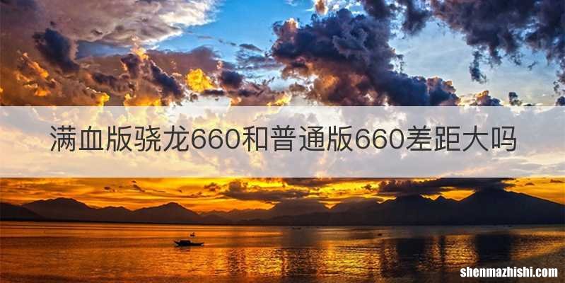 满血版骁龙660和普通版660差距大吗