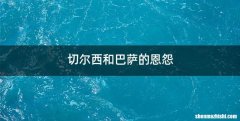切尔西和巴萨的恩怨