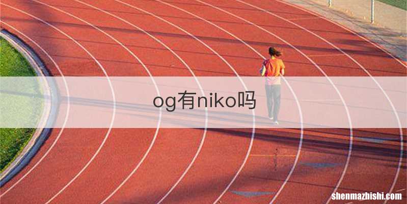 og有niko吗