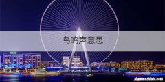 鸟鸣声意思