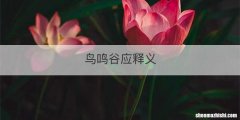 鸟鸣谷应释义