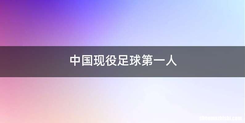 中国现役足球第一人