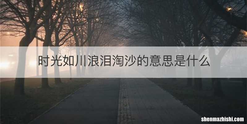 时光如川浪泪淘沙的意思是什么