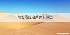 陕北霞姐泡菜萝卜做法