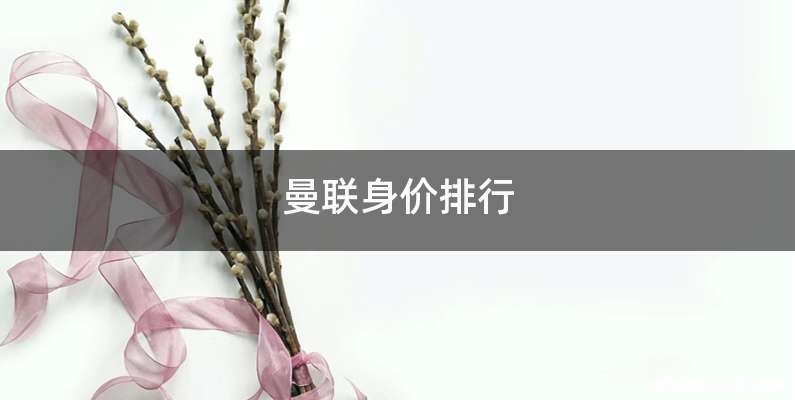 曼联身价排行
