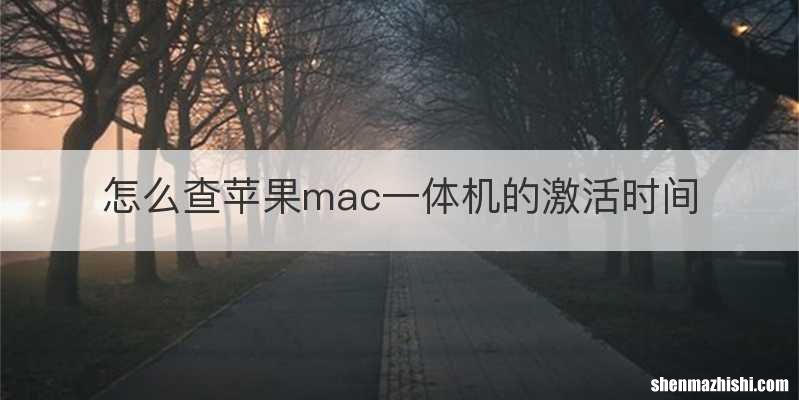 怎么查苹果mac一体机的激活时间